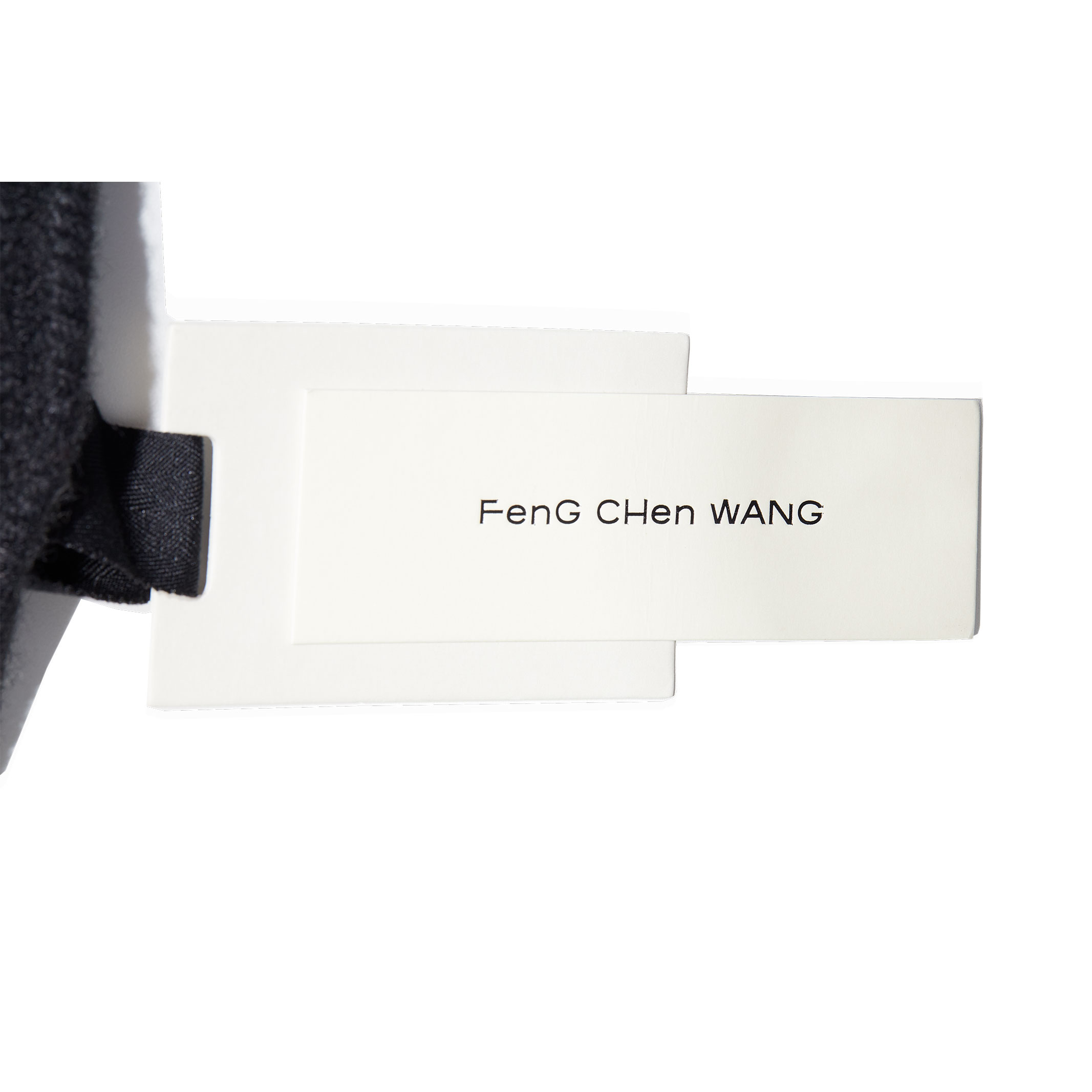 펑첸왕 - FenG CHen WANG